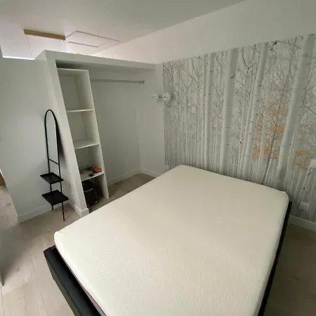 Gambetta - T1 Bis De 28m2 - Centre Ville *